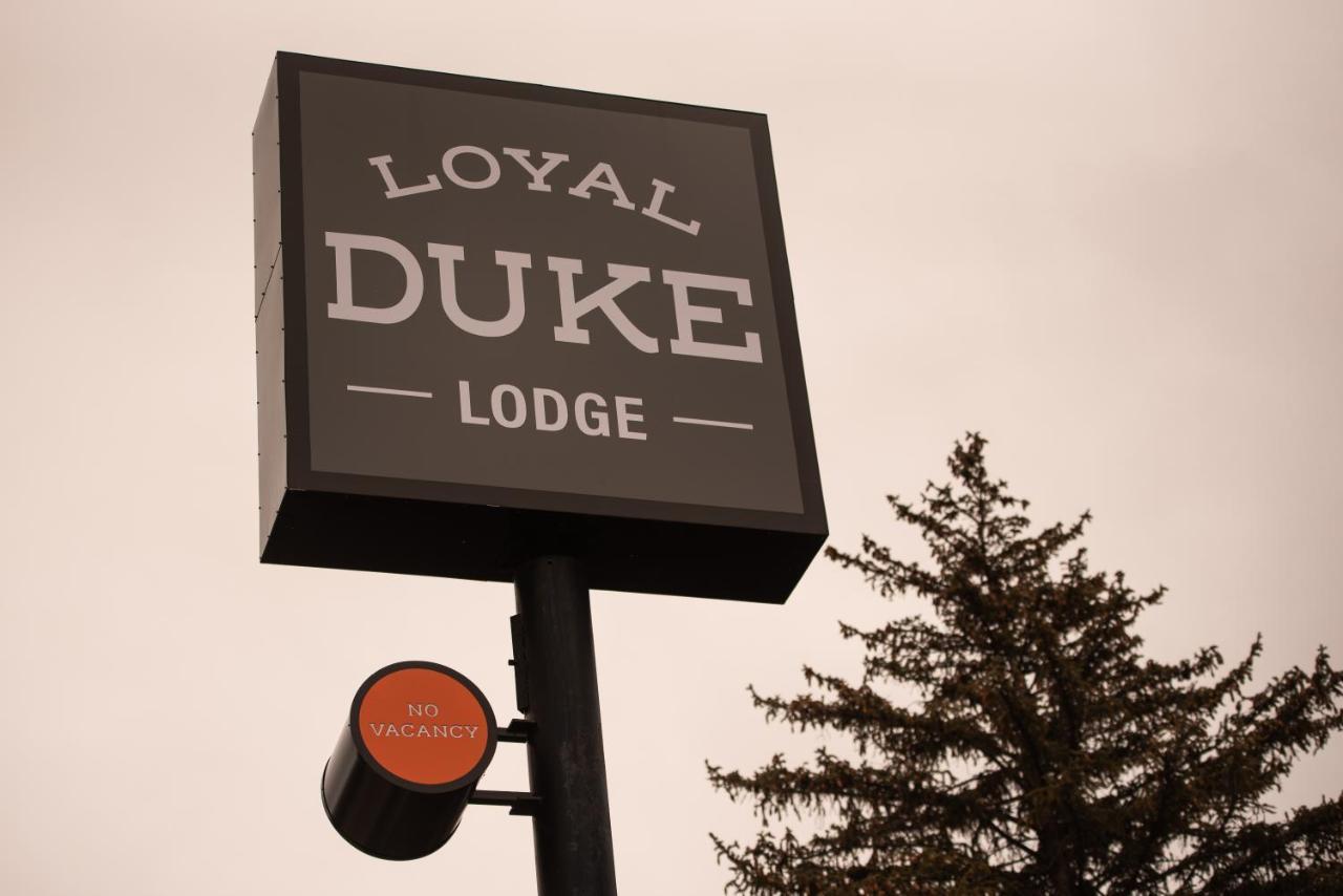 Loyal Duke Lodge 살리다 외부 사진